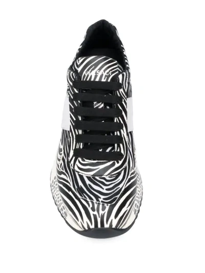 Shop Versace Zebra Print Achilles Sneakers In Black