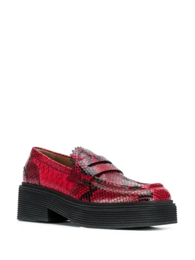 Shop Marni Snakeskin Print Chunky Loafers In Red