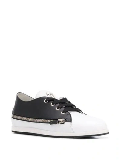 Giuseppe Zanotti Two-tone Zipped Sneakers In Black