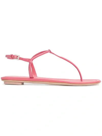 Shop Prada Thong Sandals In Pink