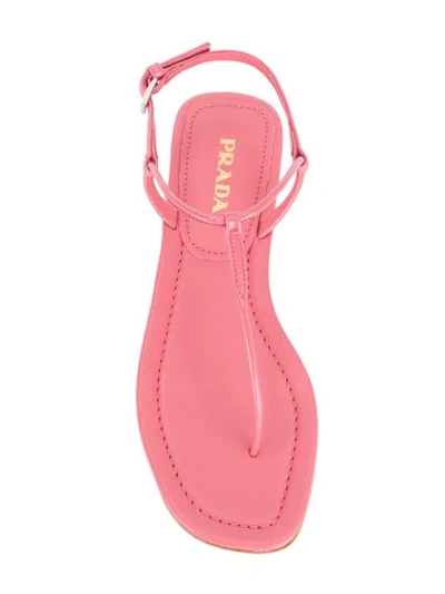 Shop Prada Thong Sandals In Pink