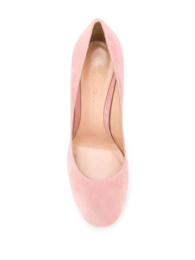 Shop Gianvito Rossi Round Toe Pumps In Pink