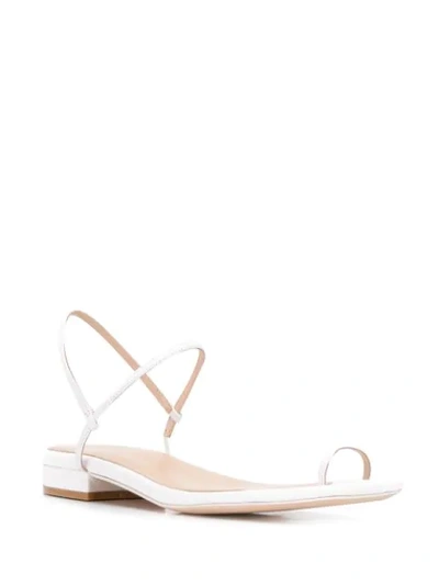 Shop Studio Amelia Toe Bar Sandals In White