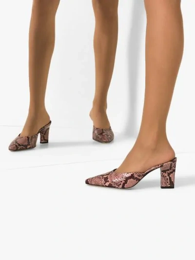 Shop Aeyde Signe Snake-effect Mules In Pink