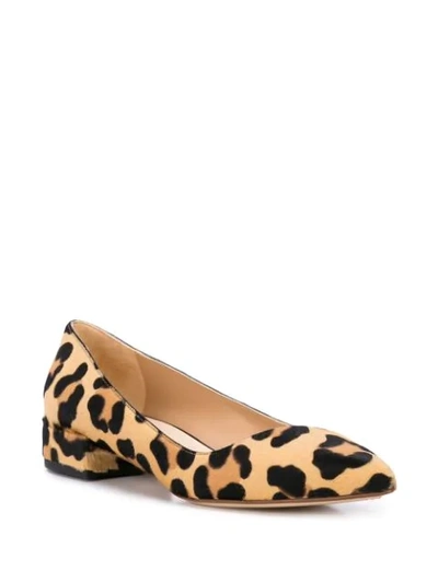 Shop Francesco Russo Leopard Print Ballerina Shoes In Brown