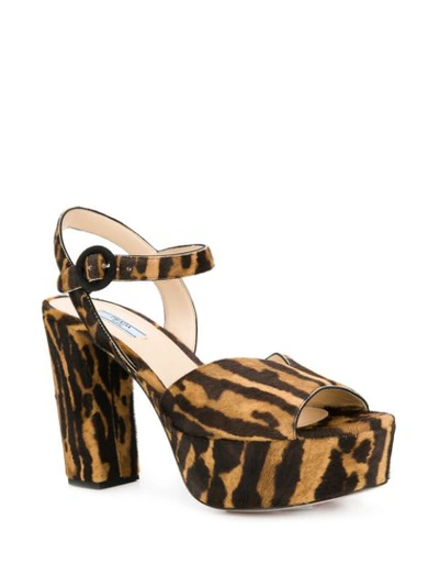 Shop Prada Leopard Print Suede Platform Sandals In F0g3p