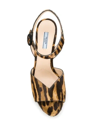 Shop Prada Leopard Print Suede Platform Sandals In F0g3p