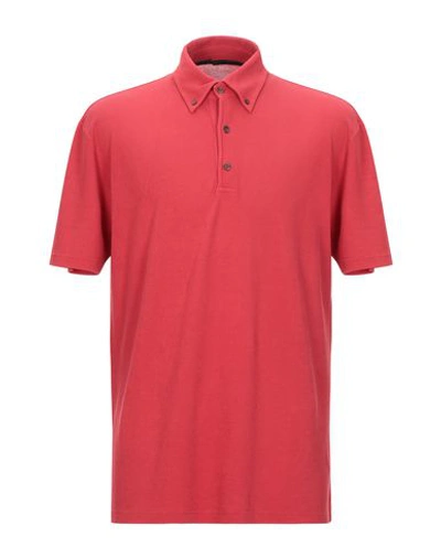 Shop Zanone Polo Shirts In Red