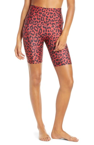 Shop Onzie High Waist Bike Shorts In Red Leopard
