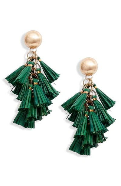 Shop Akola Harper Raffia Tassel Cluster Drop Earrings In Hunter