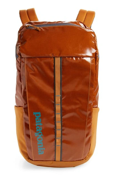 Shop Patagonia Black Hole 25-liter Weather Resistant Backpack In Hammonds Gold