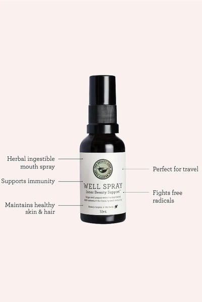 Shop The Beauty Chef Well Spray Inner Beauty Support