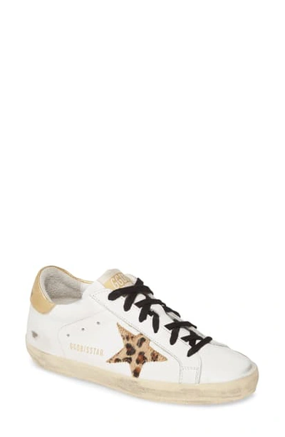 Shop Golden Goose Superstar Genuine Calf Hair Sneaker In White Leather/ Leopard