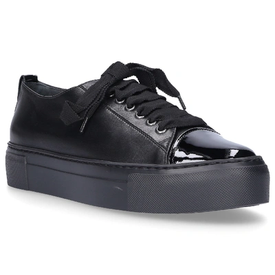 Shop Agl Attilio Giusti Leombruni Low-top Sneakers D925065 In Black