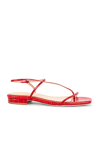 Shop Studio Amelia 1.2 Sandal In Red Croc