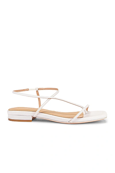 Shop Studio Amelia 1.2 Sandal In White