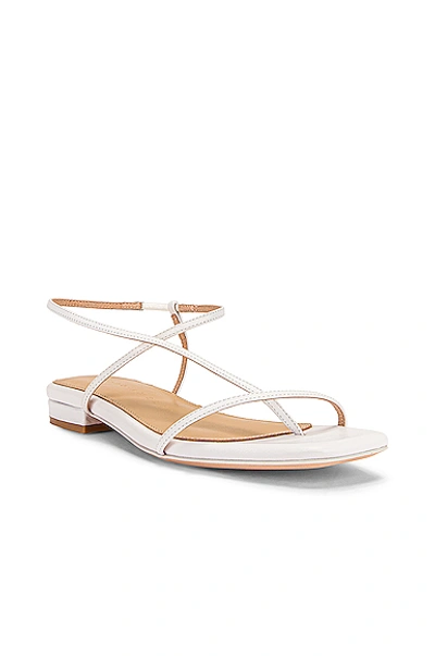 Shop Studio Amelia 1.2 Sandal In White