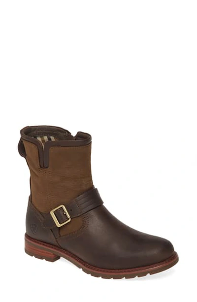 Shop Ariat Savannah Waterproof Bootie In Chocolate/ Willow