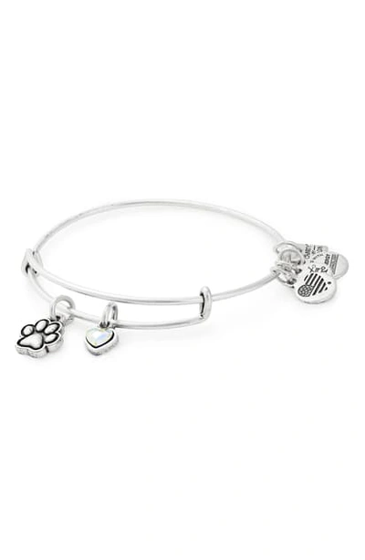 Shop Alex And Ani Charity By Design Paw Print Duo Charm Expandable Wire Bangle In Silver