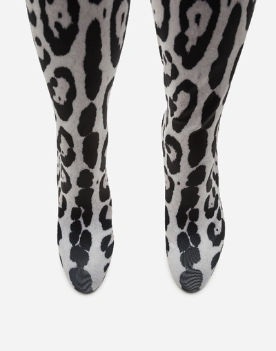 Shop Dolce & Gabbana Leopard Print Jersey Over The Knee Boots In Multicolored