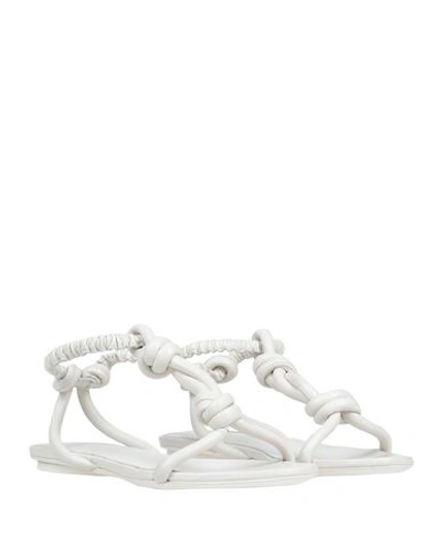 Shop Jil Sander Sandals In White