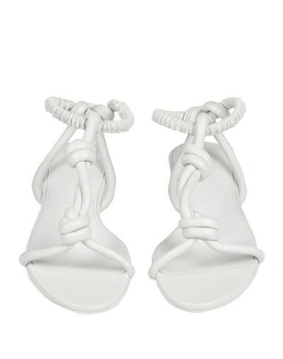 Shop Jil Sander Sandals In White