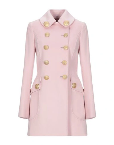 Shop Dolce & Gabbana Coat In Light Pink
