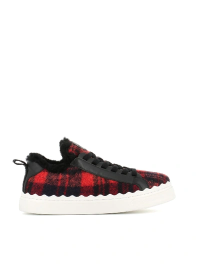 Shop Chloé Sneakers Low Sonnie In Blue/red