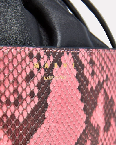 Shop Marni Coffer Snake-embossed Drawstring Bucket Bag In Pink