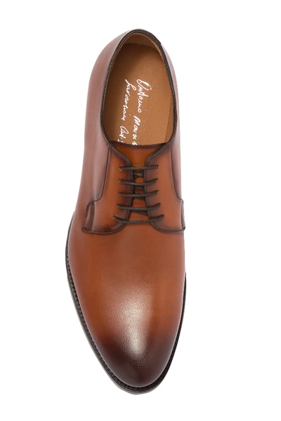 Shop Antonio Maurizi Burnished Plain Toe Derby In Brown