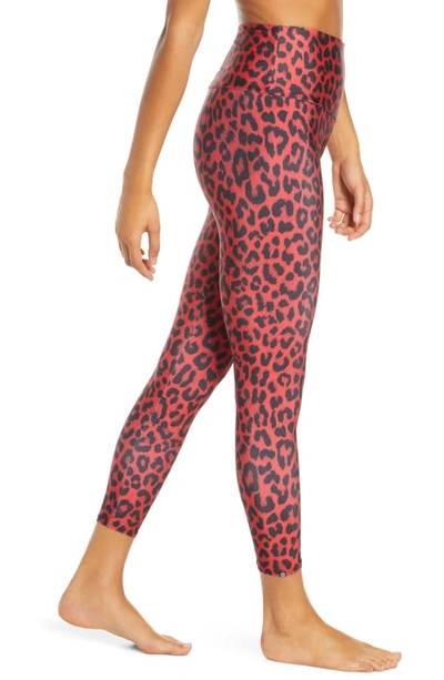 Shop Onzie High Rise Midi Leggings In Red Leopard