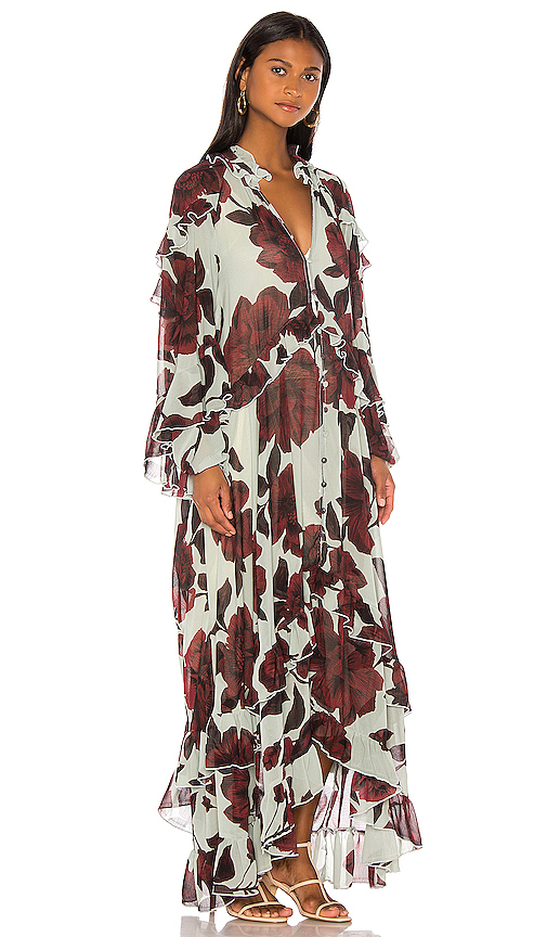 wild heart maxi dress free people