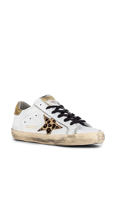 Shop Golden Goose Superstar Sneaker In White Leather, Gold & Leopard