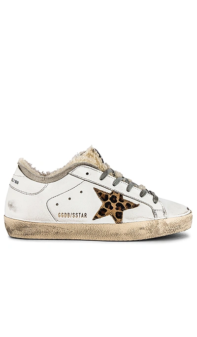 Shop Golden Goose Superstar Sneaker In White & Leopard