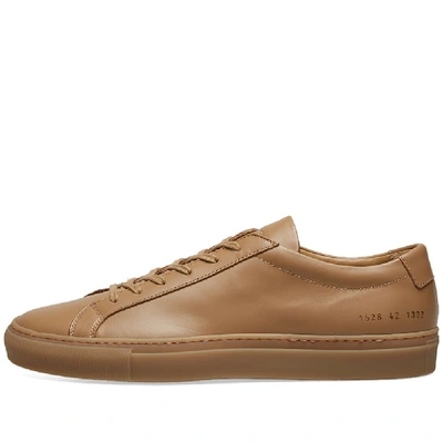 Shop Common Projects Original Achilles Low In Brown