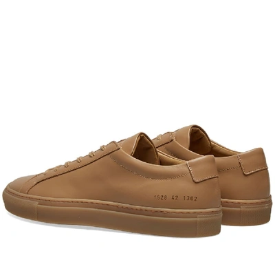 Shop Common Projects Original Achilles Low In Brown