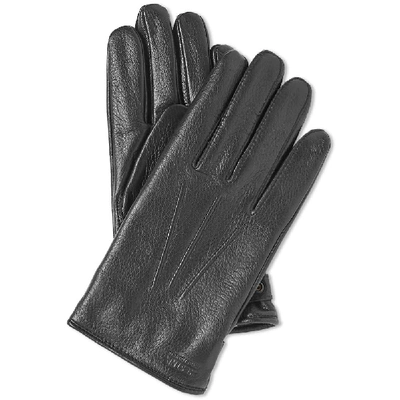 Shop Norse Projects X Hestra Salen Glove In Black