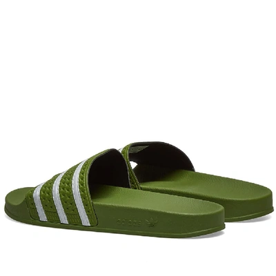 Shop Adidas Originals Adidas Adilette In Green