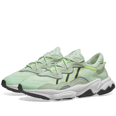 Shop Adidas Originals Adidas Ozweego In Green