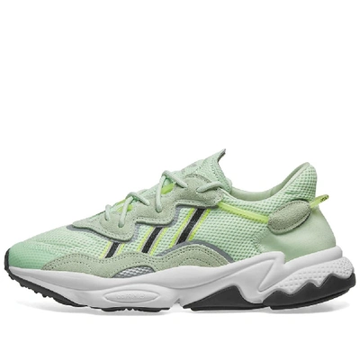 Shop Adidas Originals Adidas Ozweego In Green