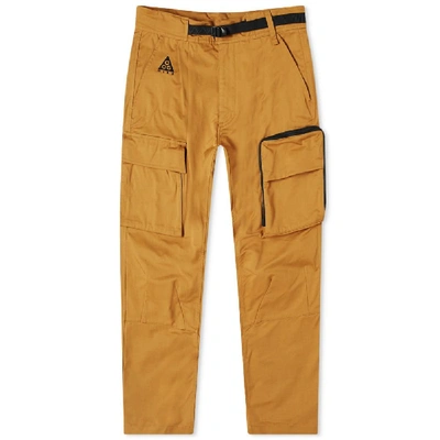 Shop Nike Acg Cargo Pant In Brown