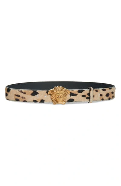 Shop Versace Givenchy Medusa Genuine Calf Hair Leopard Print Belt In Multi