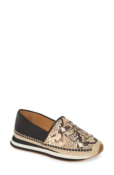 Tory Burch Daisy Logo Trainer Sneakers In Desert Roccia | ModeSens