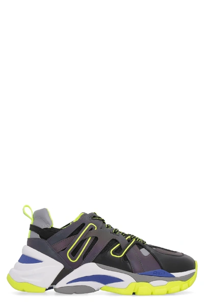 Shop Ash Leather And Mesh Fl Sneakers In Multicolor