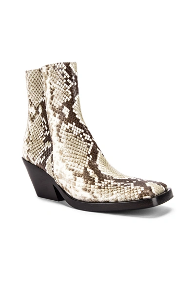 Shop Acne Studios Braxton Snake Boots In Off White