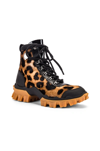 Shop Moncler Helis Boot In Brown,animal Print,black In Leopard