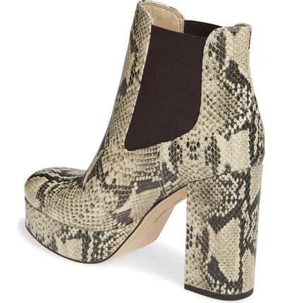 Shop Sam Edelman Abella Platform Chelsea Boot In Beach Multi Leather