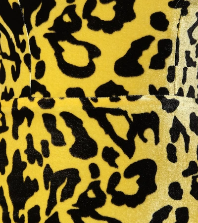 Shop Alex Perry Jax Leopard-print Velvet Minidress In Yellow