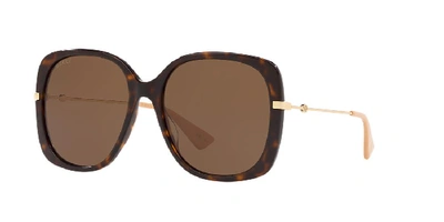 Shop Gucci Woman  Gg0511s In Brown