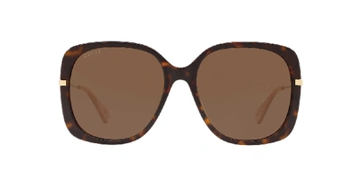 Shop Gucci Woman  Gg0511s In Brown